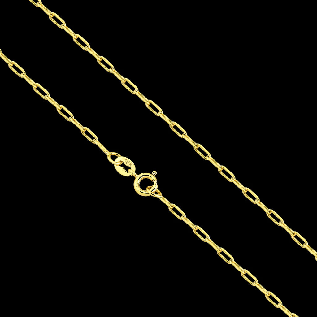Cordão Corrente Masculina Cartier + Pingente Medalha Medusa Versace Banhados a Ouro 18k